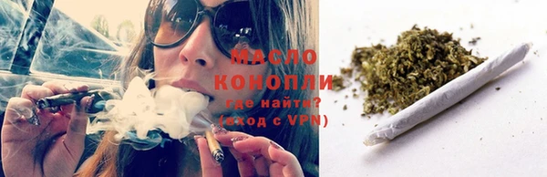 прущие грибы Краснослободск