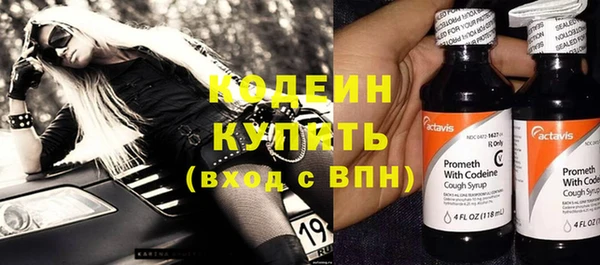 прущие грибы Краснослободск