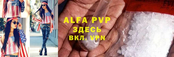 прущие грибы Краснослободск